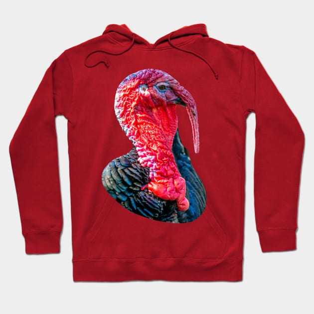 Tom Turkey Hoodie by dalyndigaital2@gmail.com